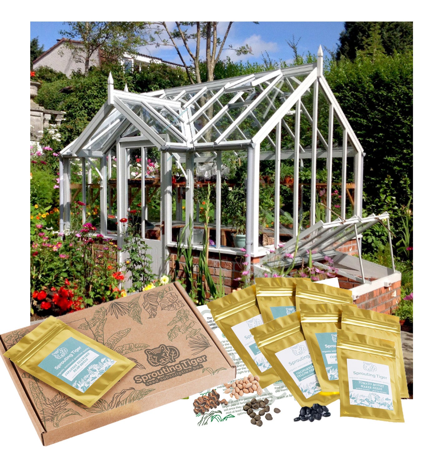 Greenhouse Vegetables Seed Gift Box