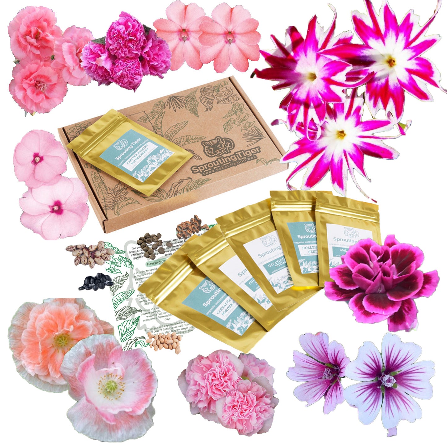 Pink Bedding Flowers Seed Gift Box