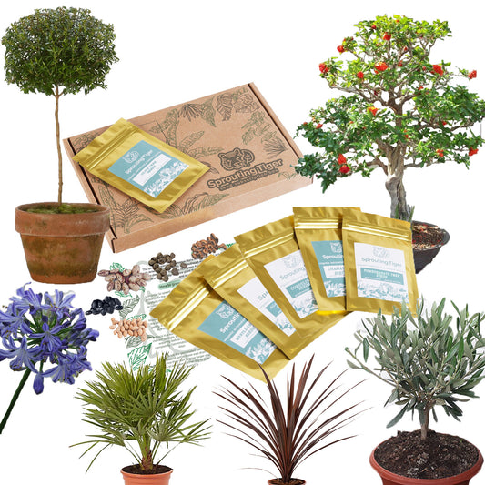 Mediterranean Garden Paradise Seed Gift Box