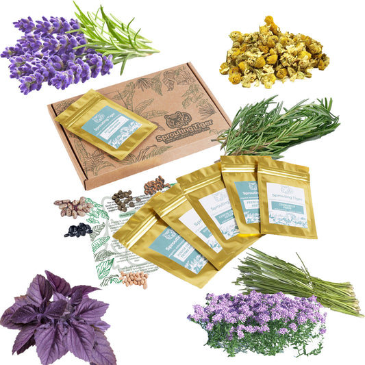 Herb Garden Seed Gift Box