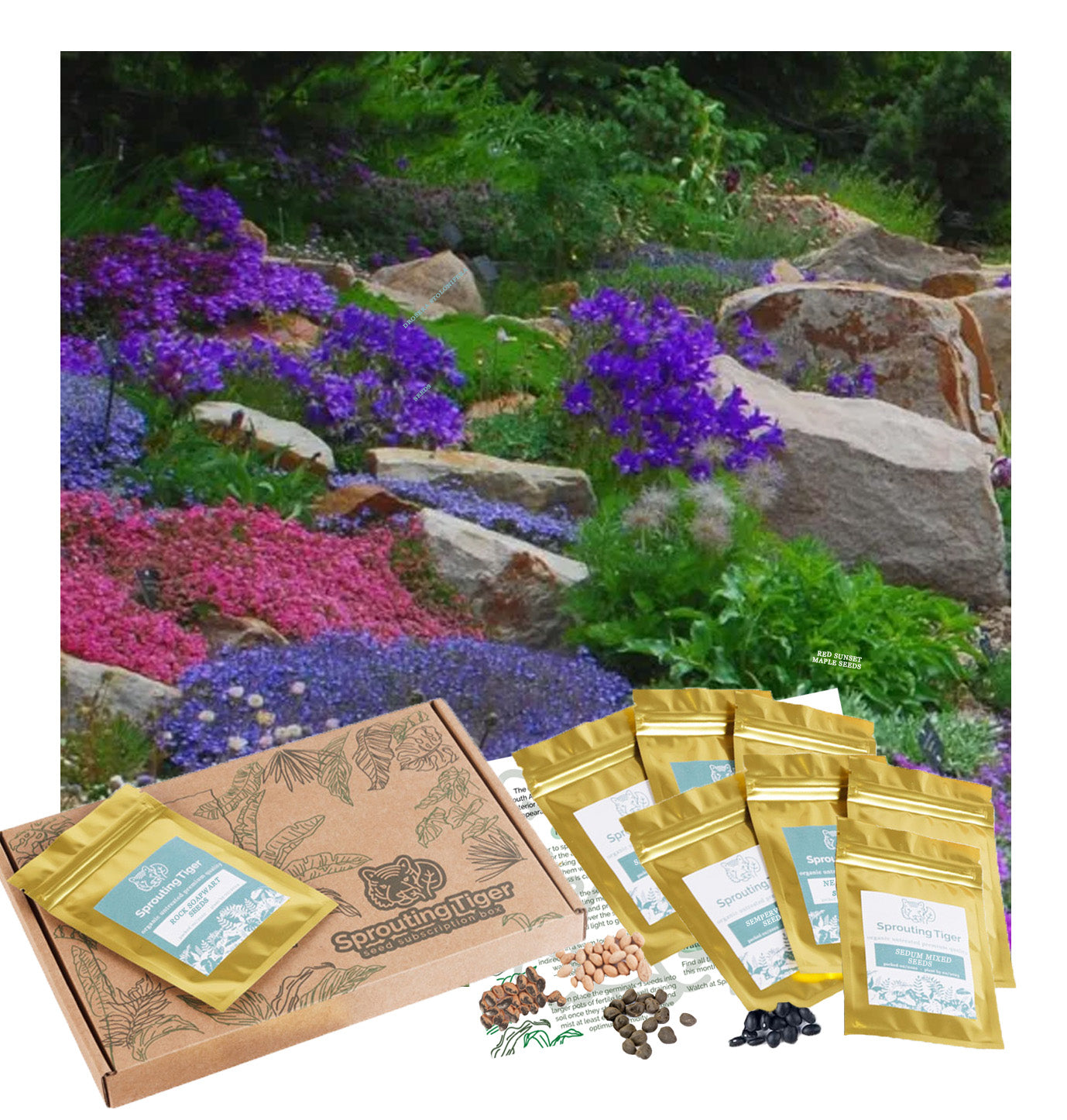 Rock Garden Seed Gift Box