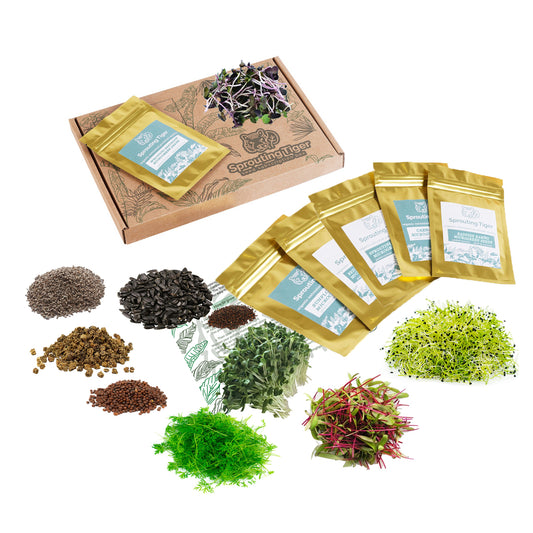 Mighty Microgreens Health and Vitality Seed Gift Box