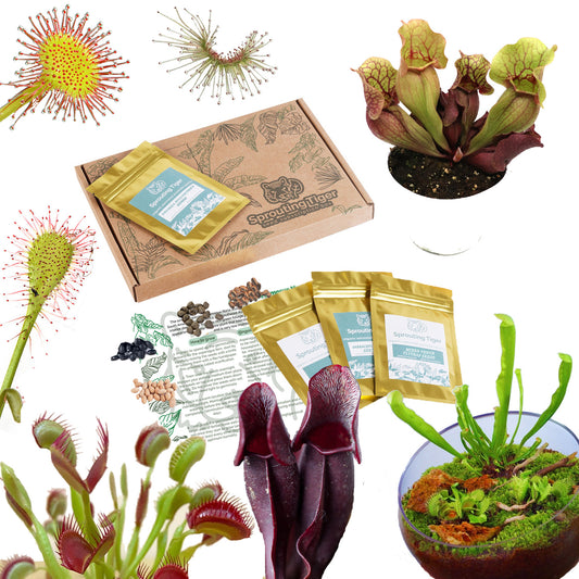 Carnivorous Houseplant Seed Gift Box