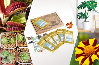 Exciting Plants for Kids Seed Gift Box